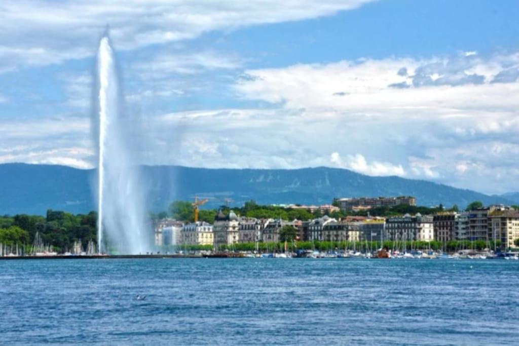 Modern'blue - Gare A 3min-geneve Acces Direct